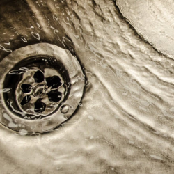Drain Repairs