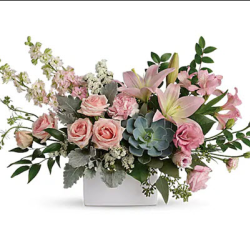 Anniversary & Romance