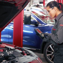 Complimentary Multi-Point Inspection