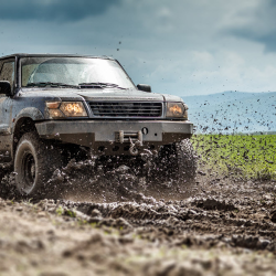 Auto Insurance