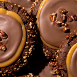 Buckeye Brownie