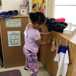 Developmental Assessments and Individualized Learning Plans