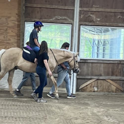 Therapeutic Riding