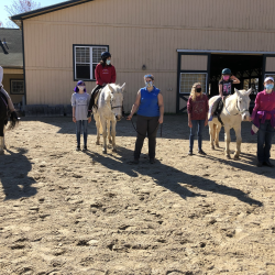 Equine-Assisted Learning