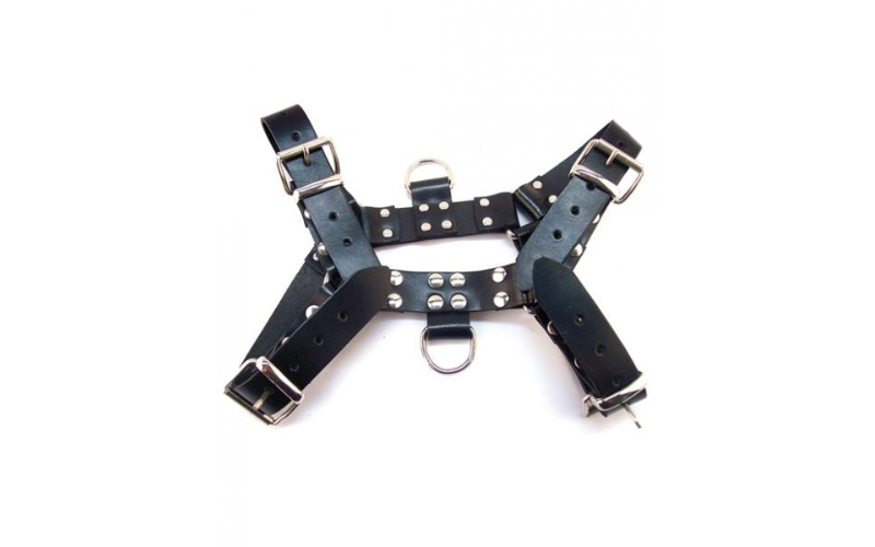 Rouge Over The Head X-Large Harness