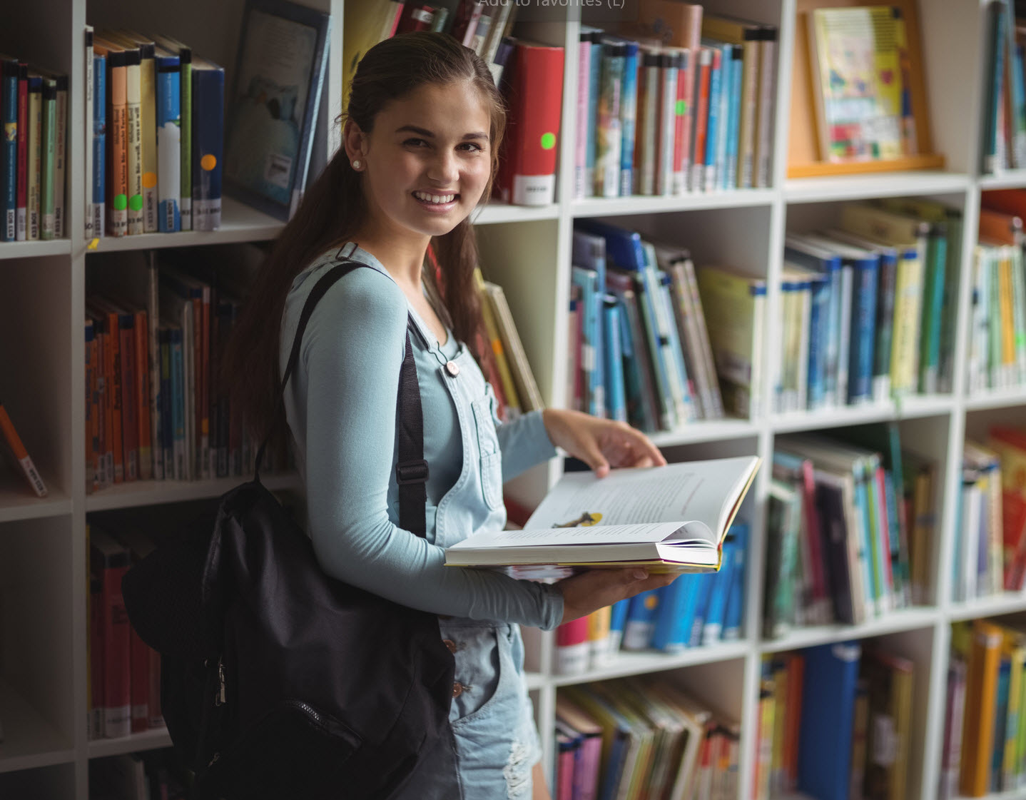 Basic Education and Literature