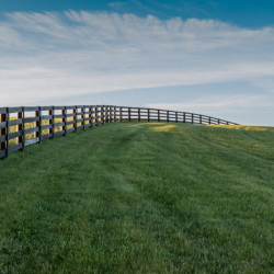 Commercial Land