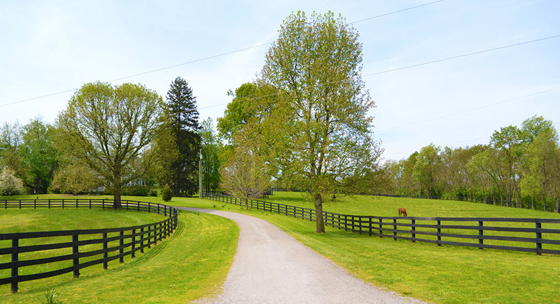 Land