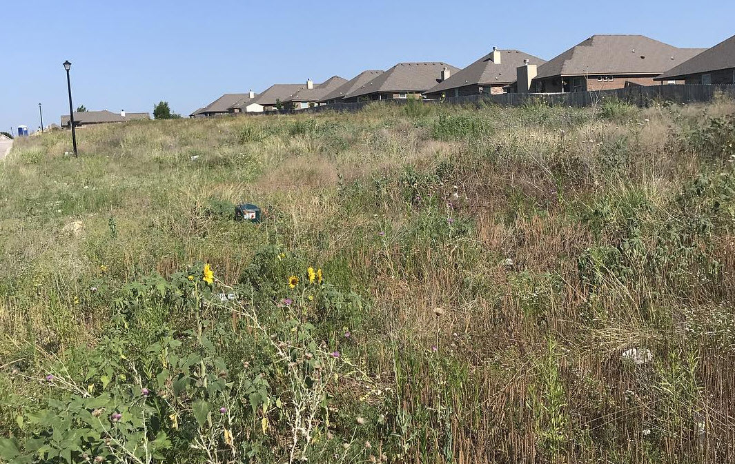 Real Estate Development