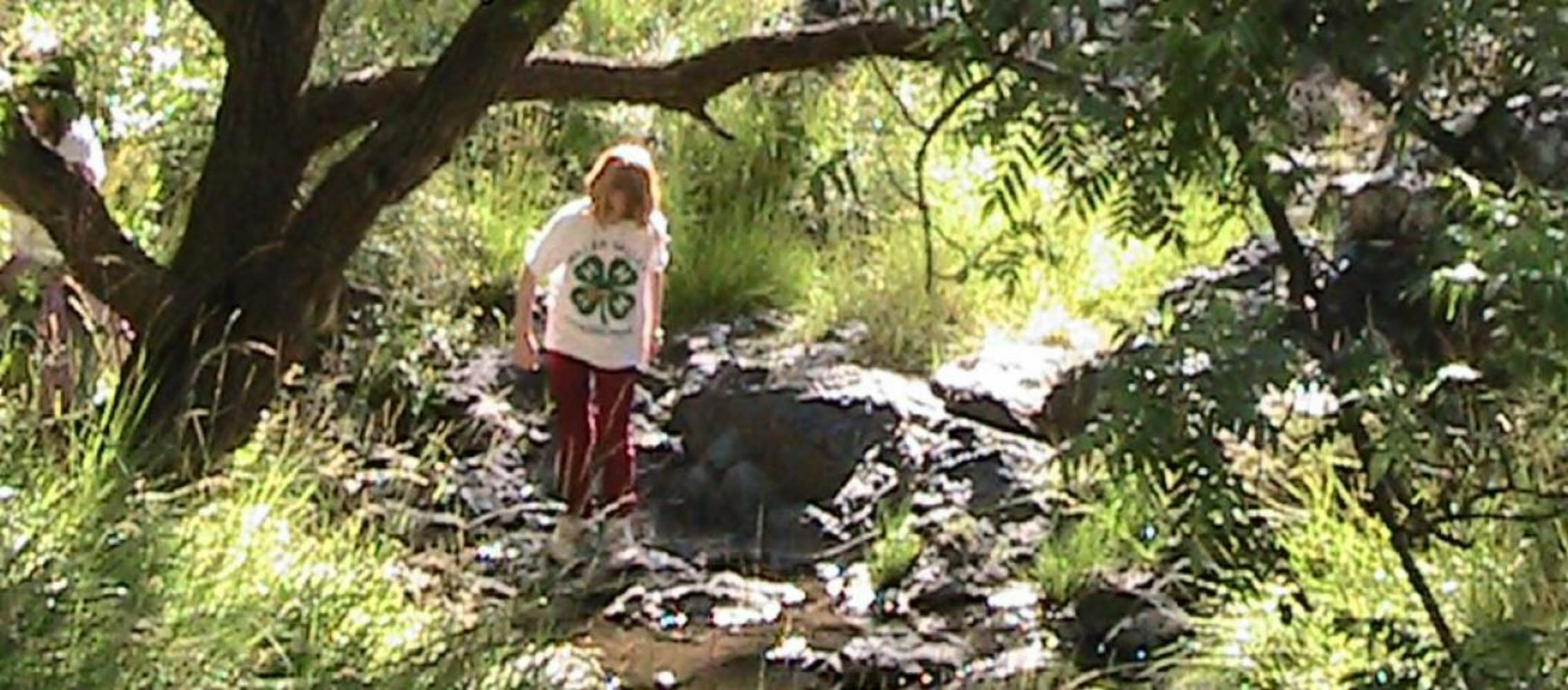 Mohave County 4-H