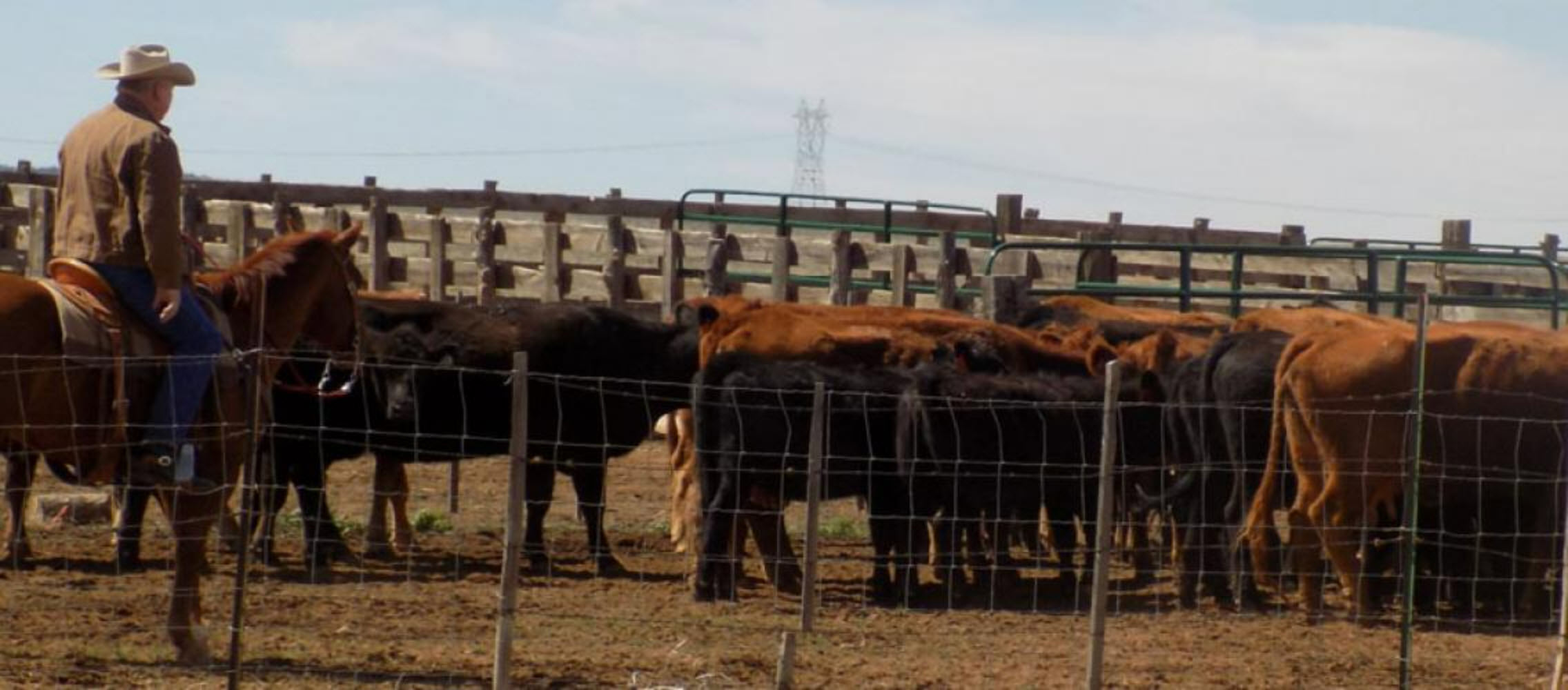 Livestock - Coconino/Mohave