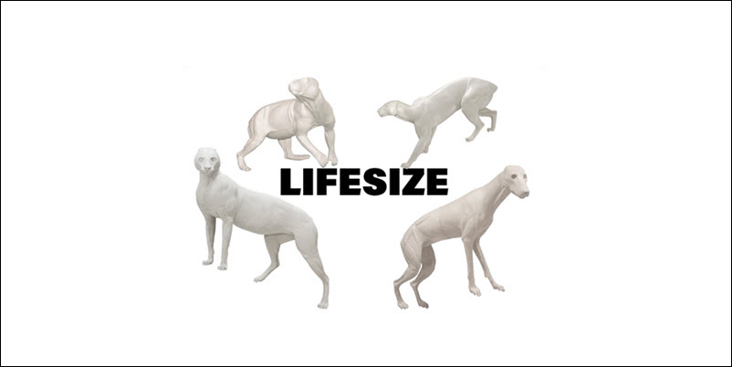 Lifesize