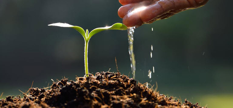 Environmental Stewardship