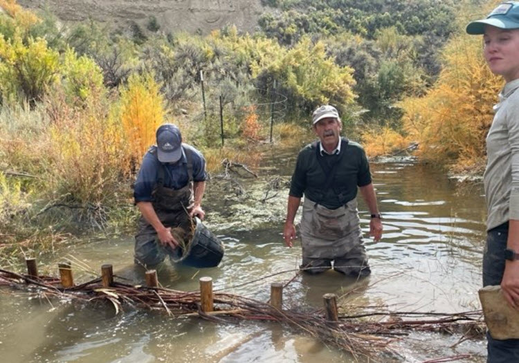 Riparian Restoration Workshop