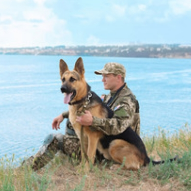 Veteran Services
