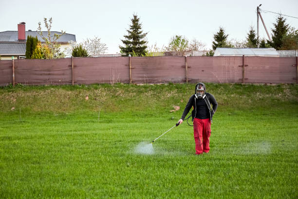 Pre-Emergent Weed Control