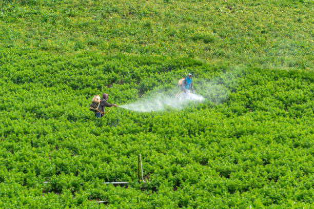 Post-Emergent Weed Control