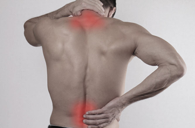 Back Pain