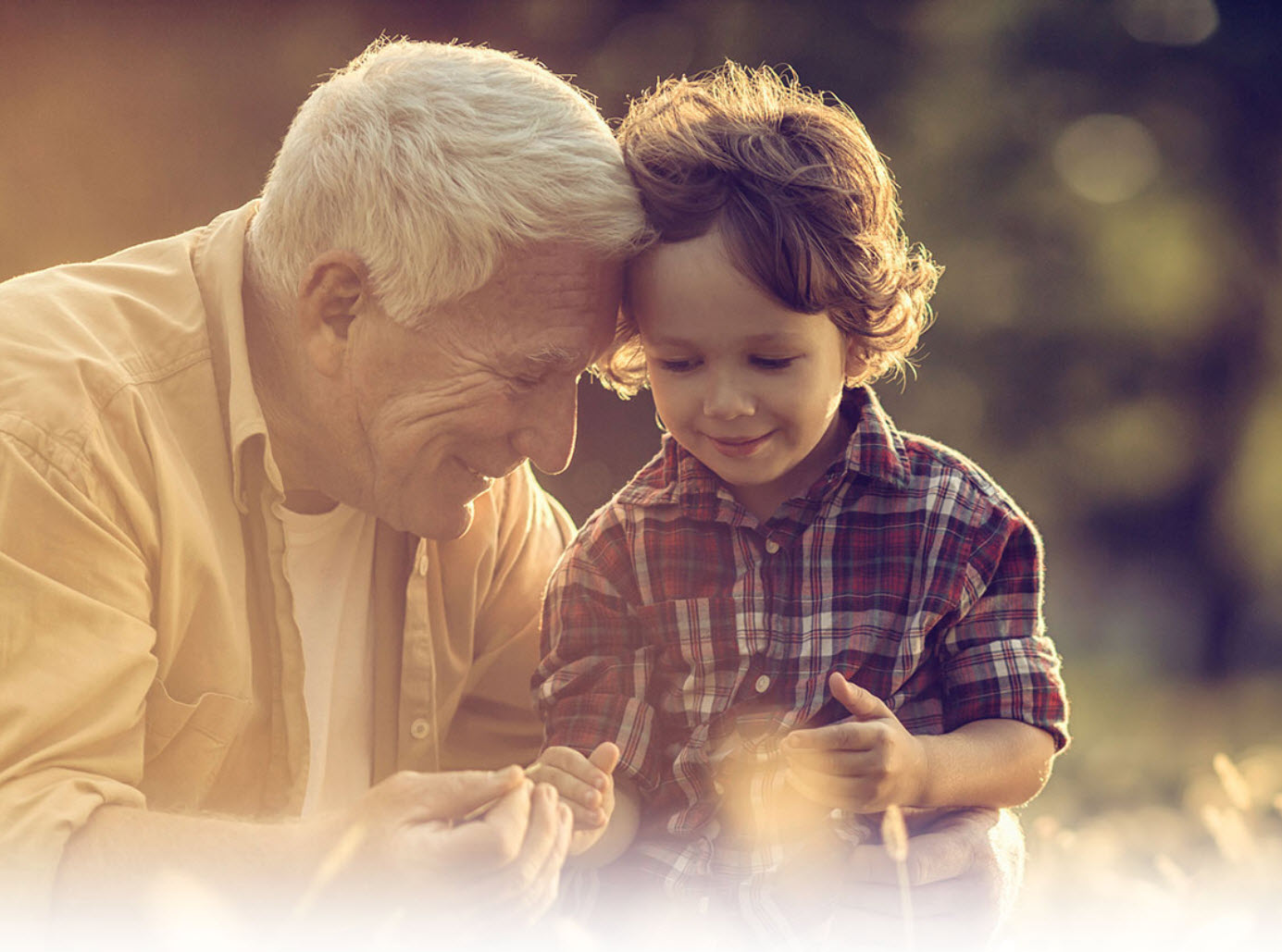 Life Insurance