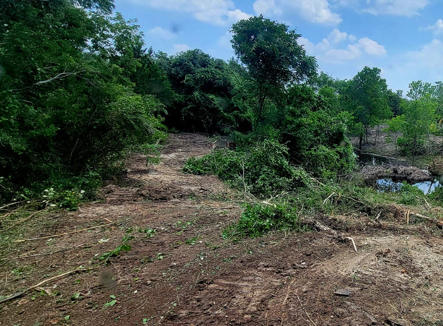 Land Clearing