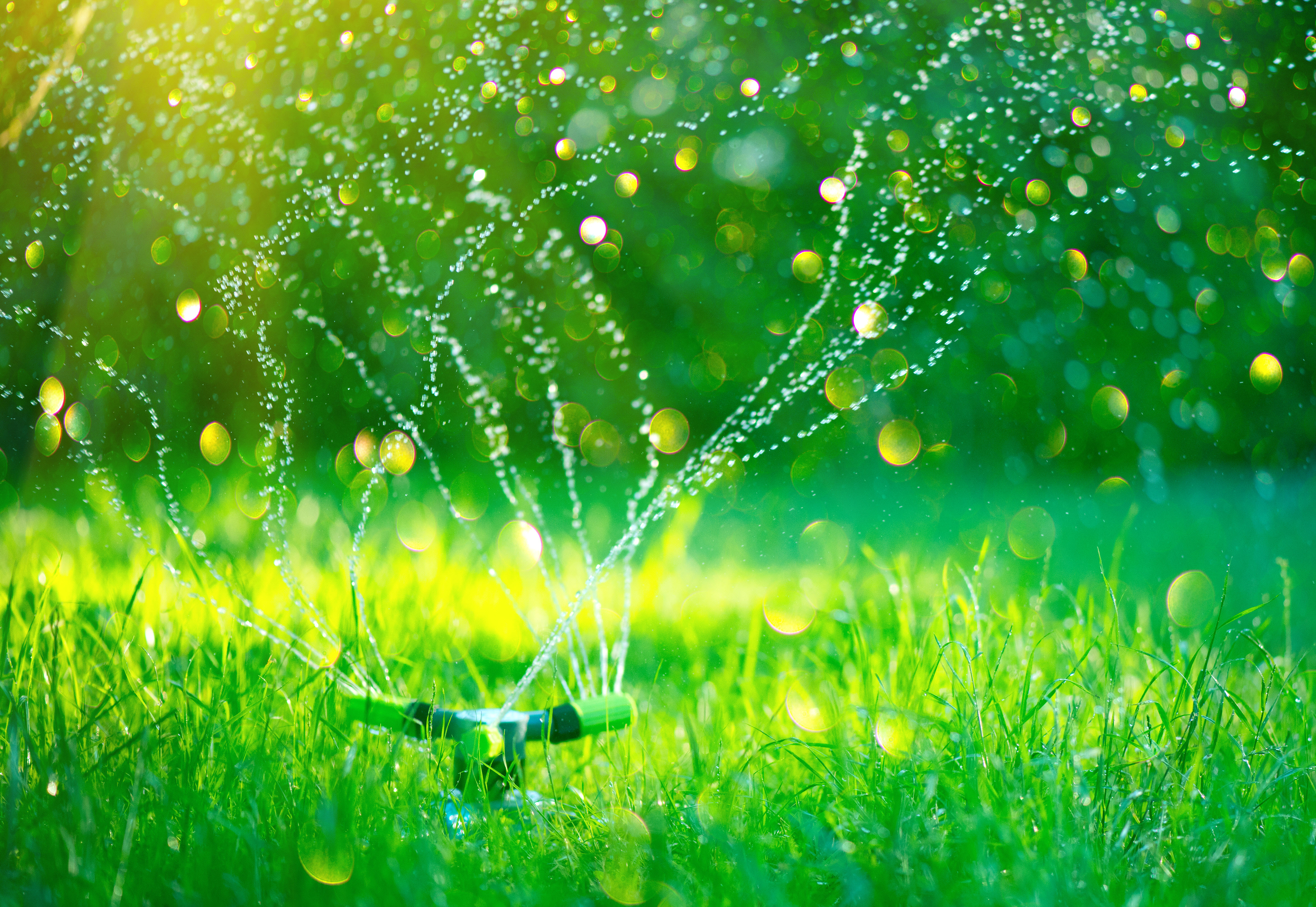 Irrigation System Design and Installation