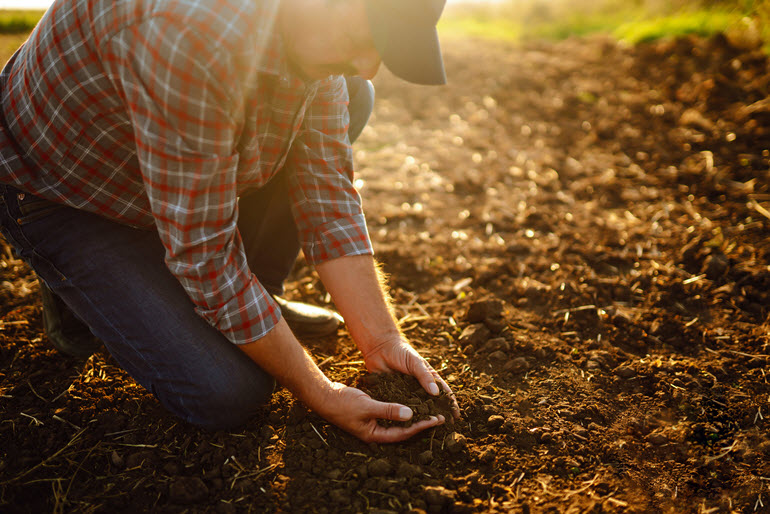 Fertilizer Formulation and Application