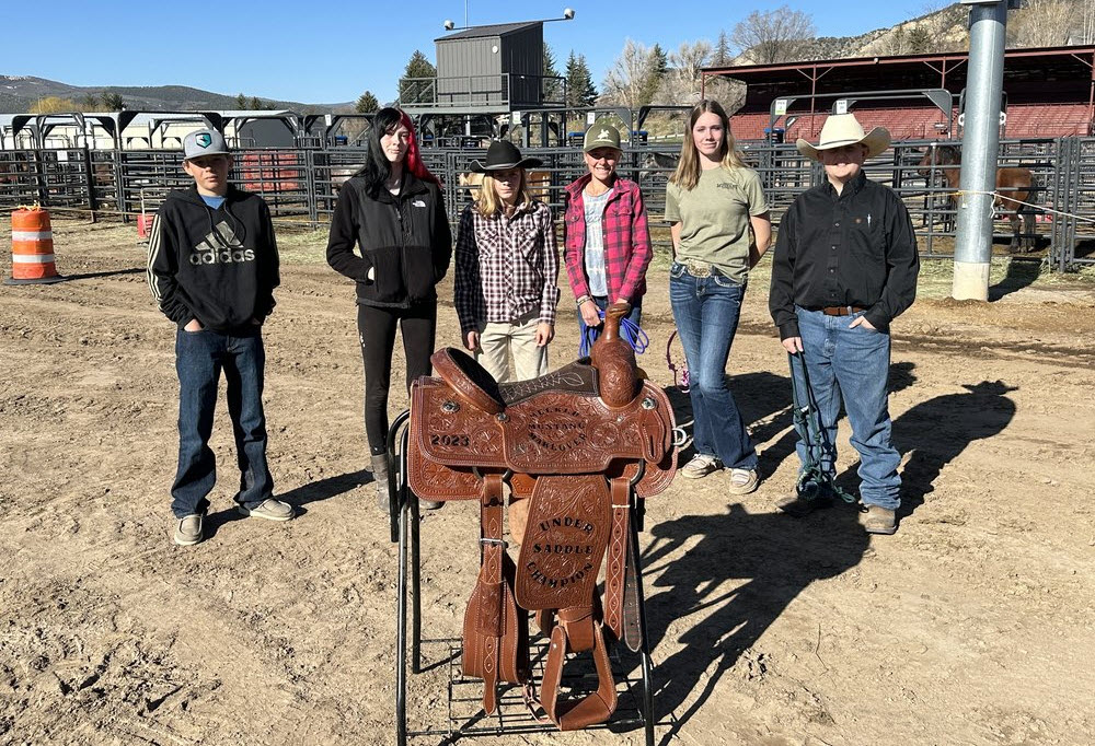 Under Saddle Trainers 