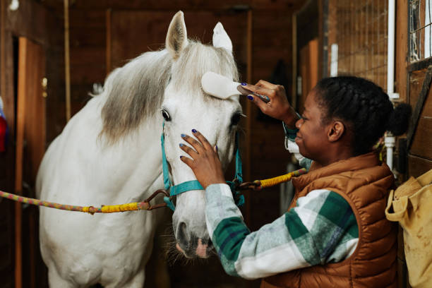 Equine Health Clinics