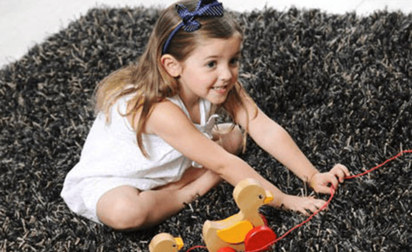 Area Rug Cleaning