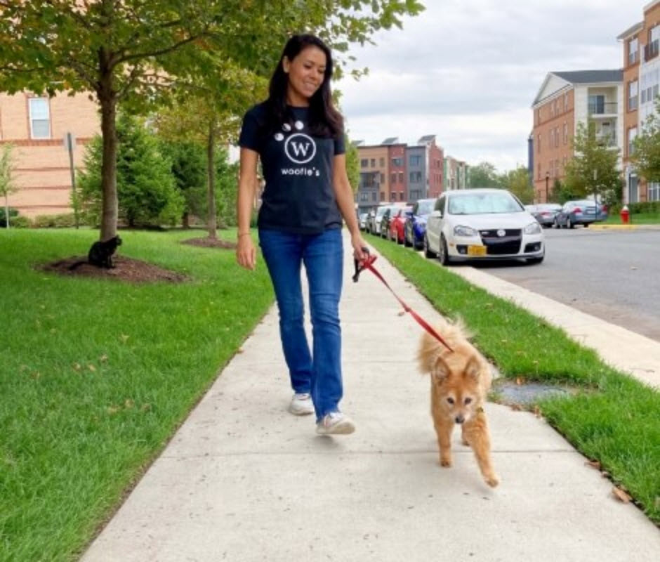 Dog Walking