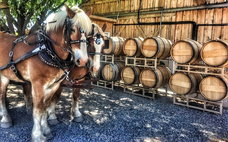 Horse-Drawn Wine Tour