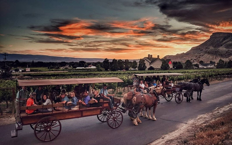 Horse-Drawn Sunset Tour