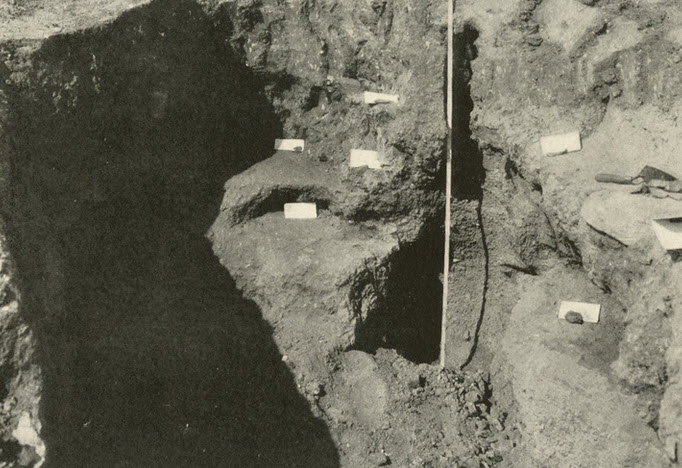 Archaeological Excavation Expeditions