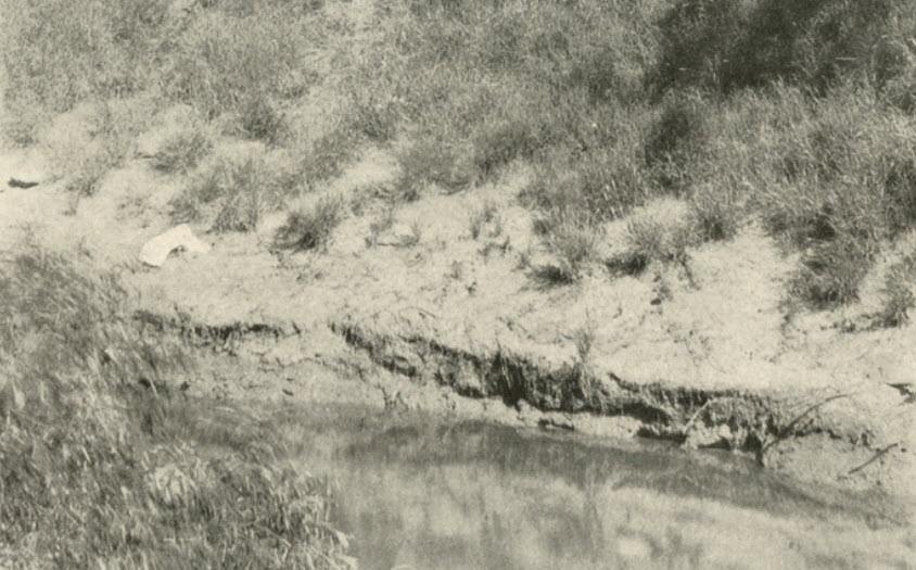 Brazos River Excavation Expeditions