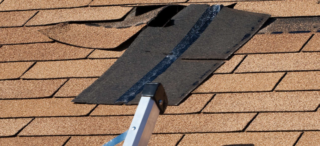  Roof Repair & Maintenance