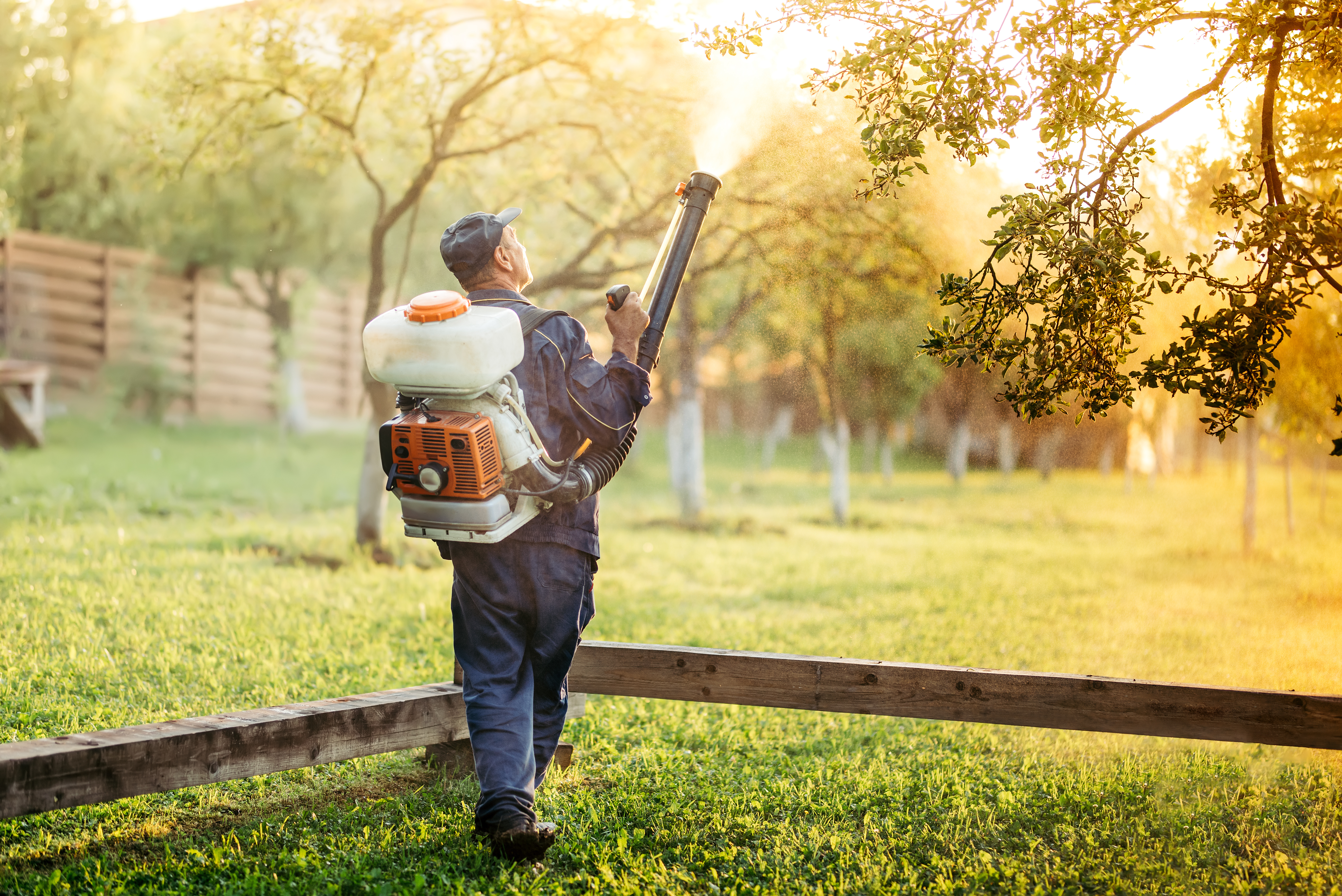 Mosquito Control