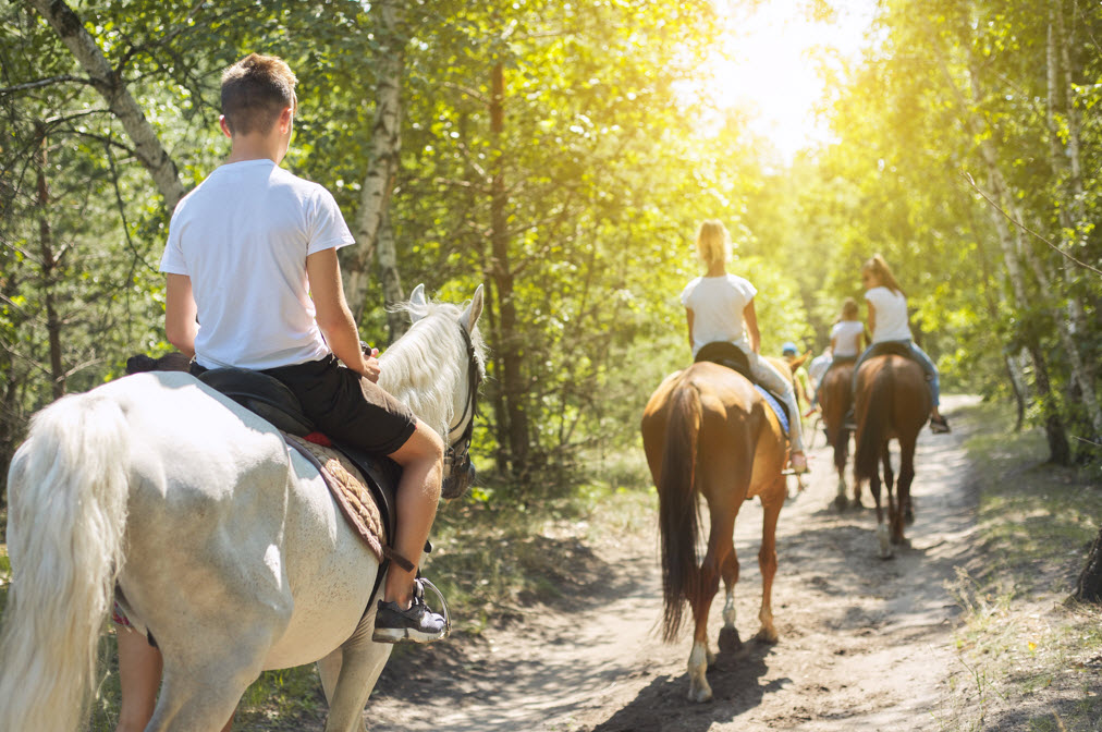 Horseback Riding Adventures