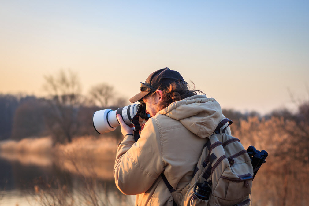 Wildlife and Nature Photography Tours