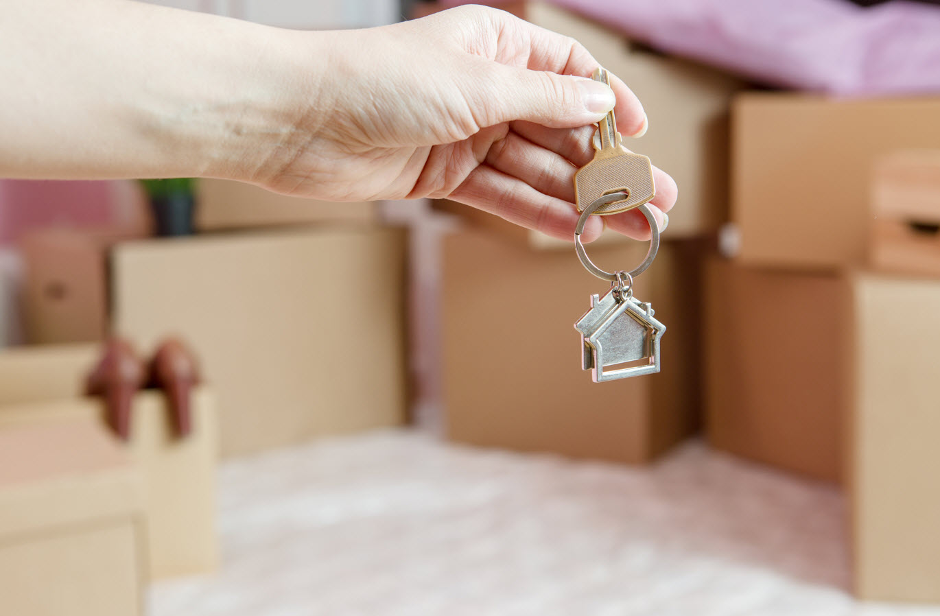 Renter's Insurance