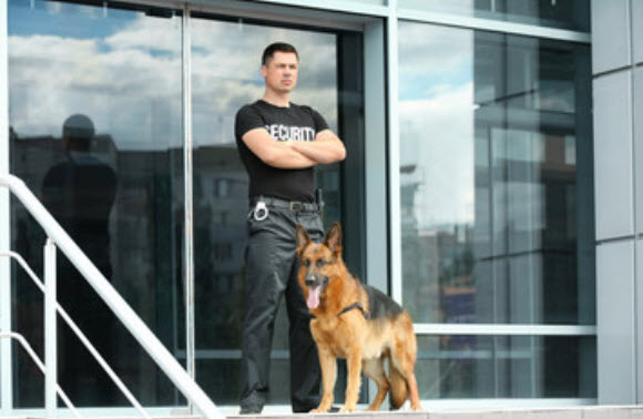 Dog Control Officer