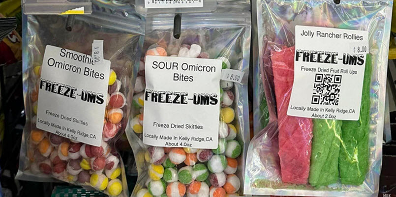 Seasonal Specialties