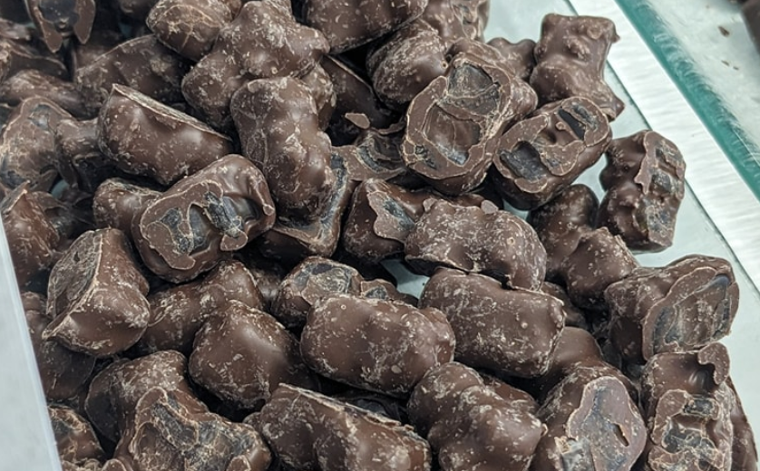 Chocolate Covered Gummy Bears
