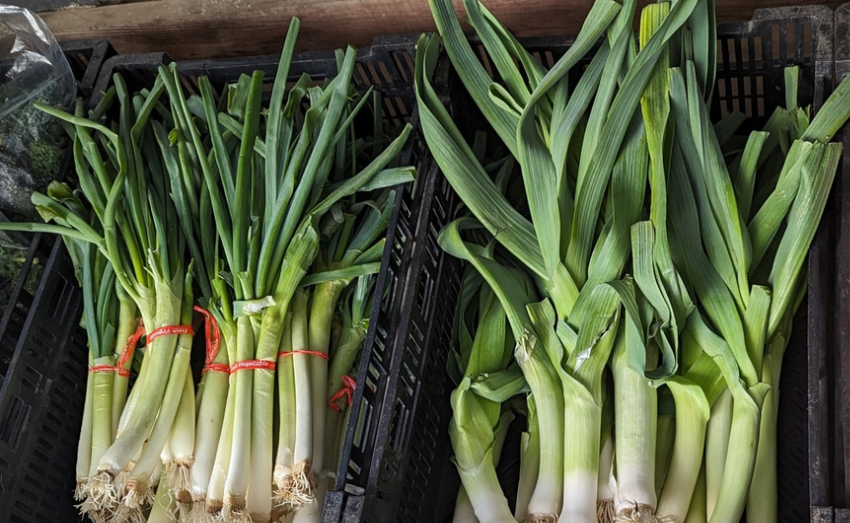 Leeks