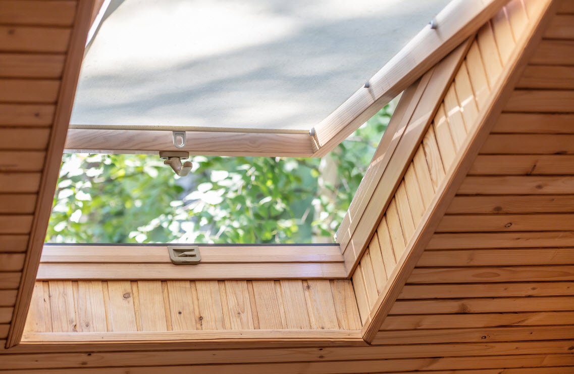 Skylight Window