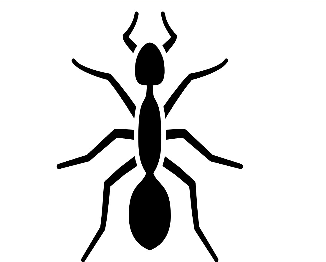 Ants