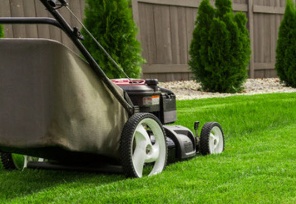 Mowing Lawns