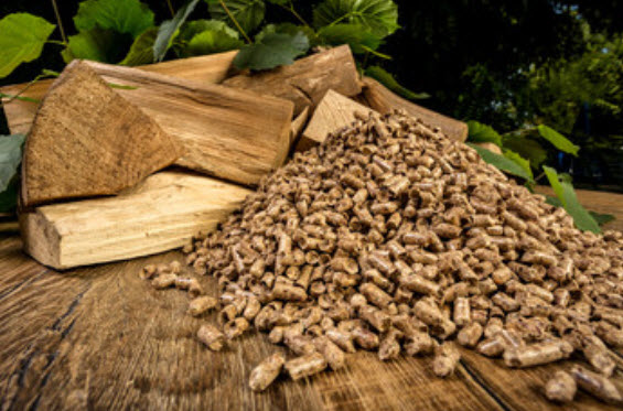 Fuel Wood