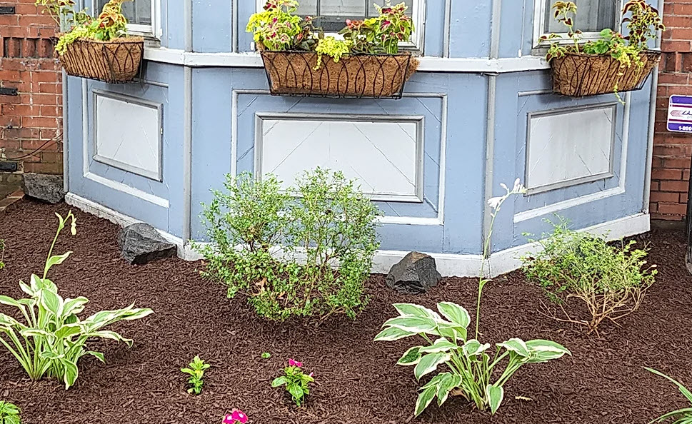 Property Maintenance