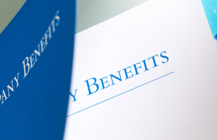 Employee Benefit Plan Audit