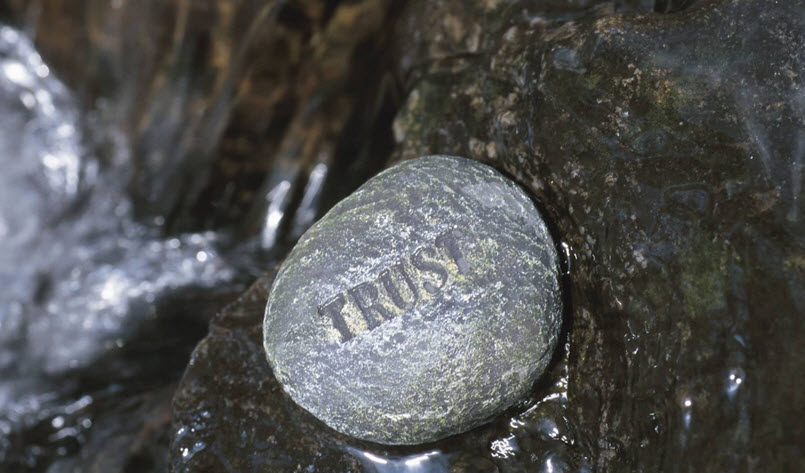 Environmental Stewardship Initiatives